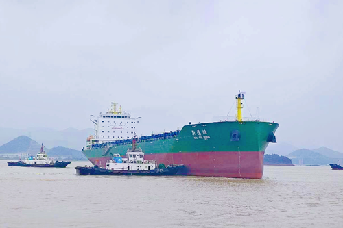 XIN BIN HONG