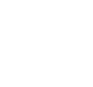 Flex Box Shipping Logo