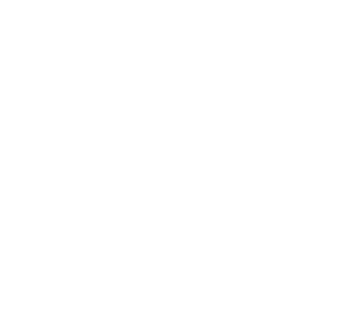 Flex Box Shipping Logo